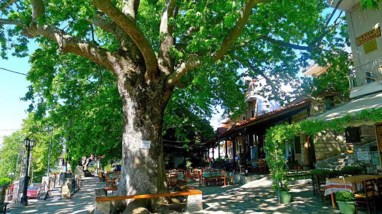 Rapsani Panorama Villa 외부 사진